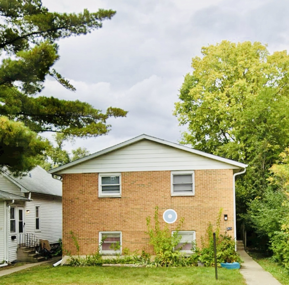 Property Photo: 315 Bush Street 4 IL 60115