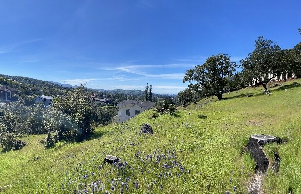 Property Photo: 540 Westgate Drive CA 94558