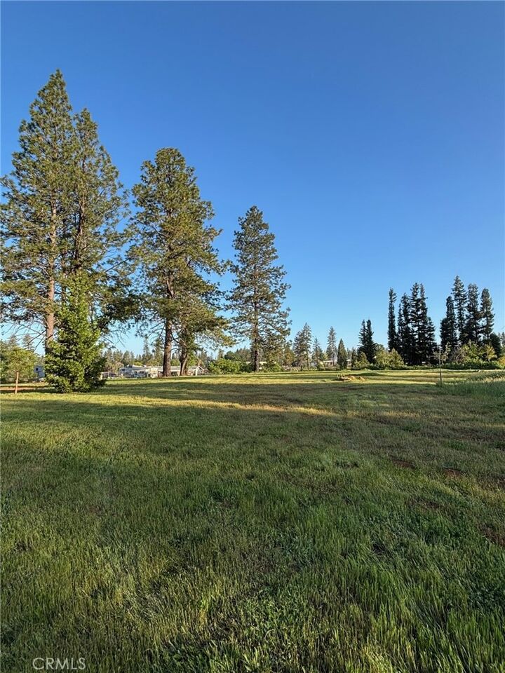 Property Photo:  0 Libby Road  CA 95969 