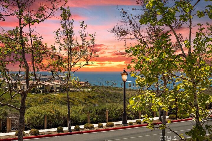 Property Photo:  207 Via Galicia  CA 92672 