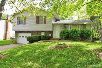 Property Photo: 1009 Odus MO 63755