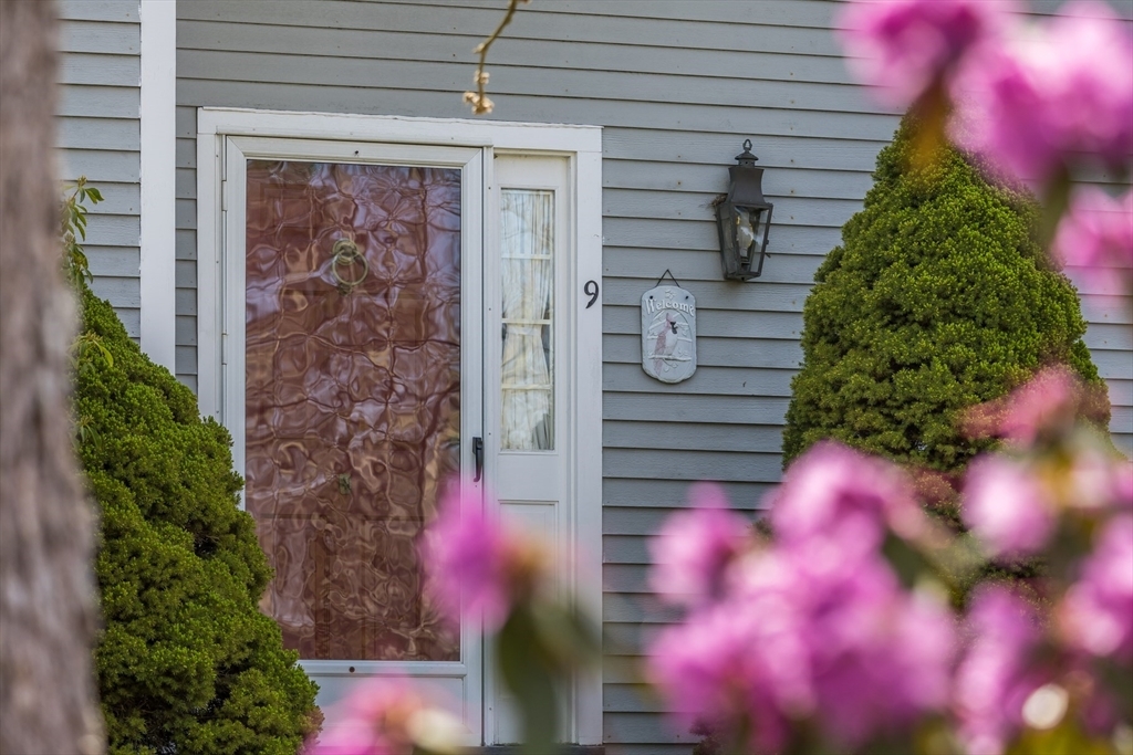 Property Photo:  9 Courier Drive  MA 02638 