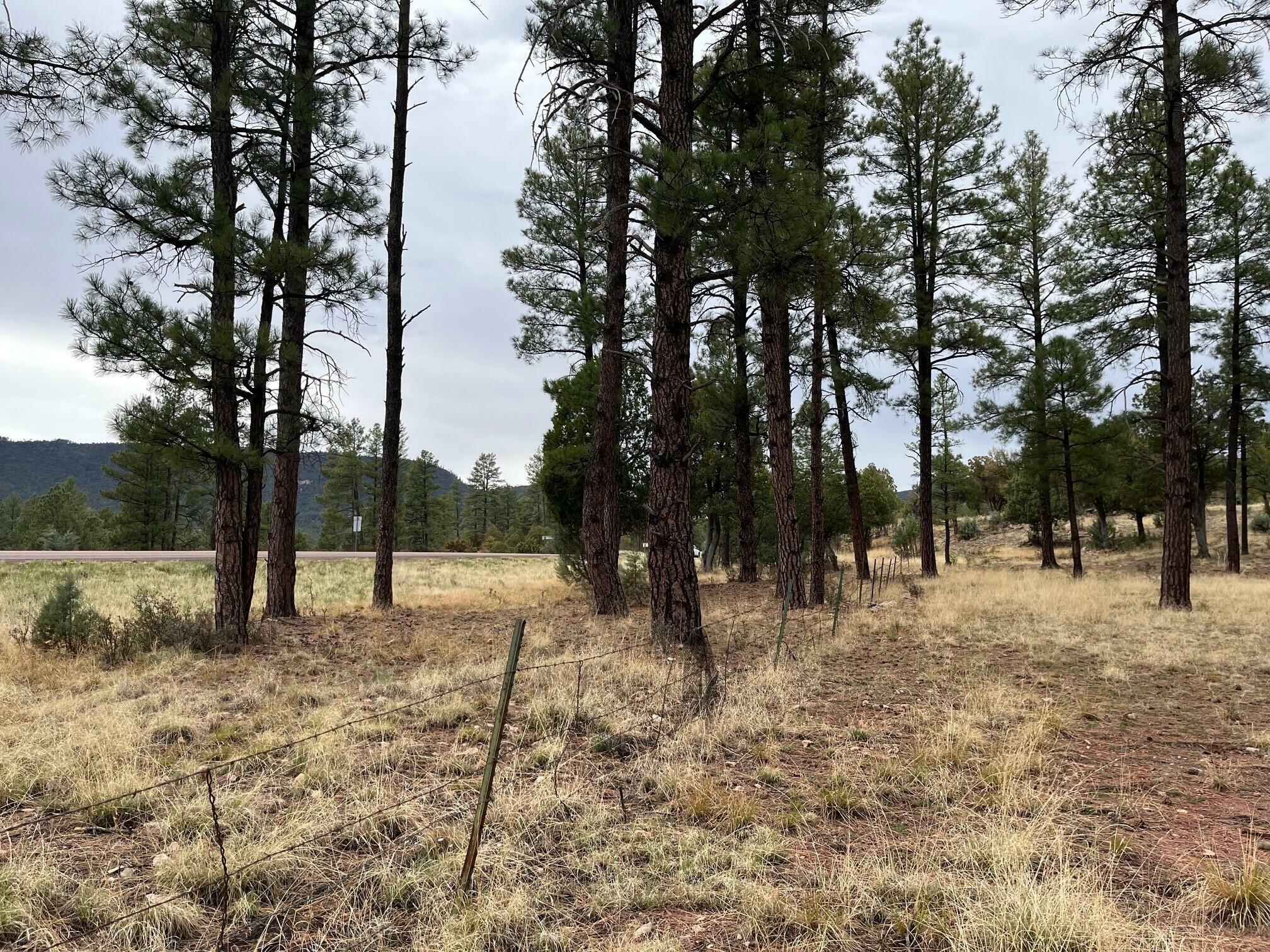 Property Photo: Tbd N State Route 87 AZ 85544