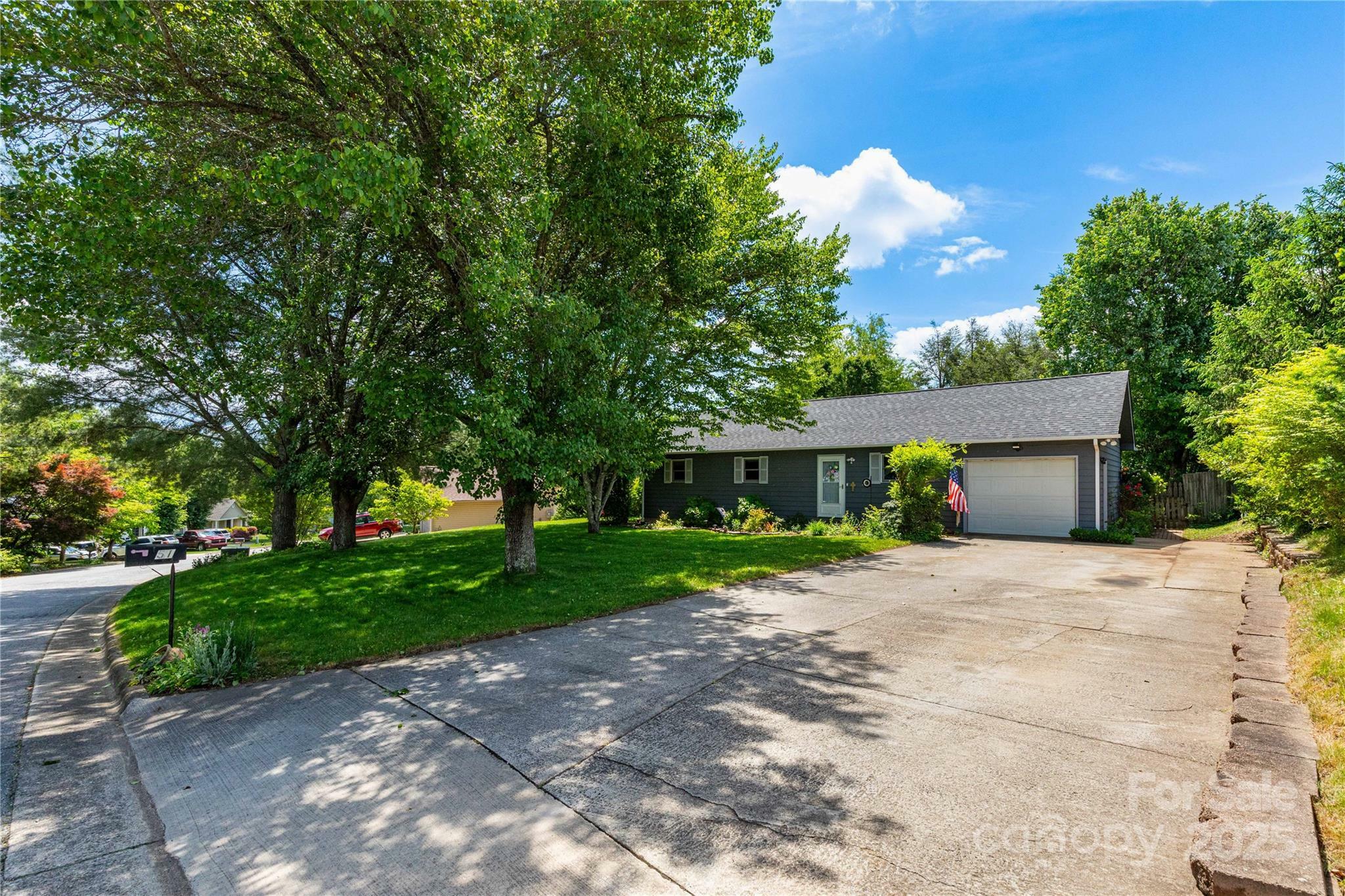 Property Photo: 51 Mount Carmel Drive NC 28806
