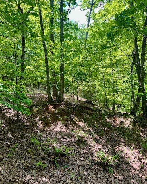 Property Photo: 220 Yanegwa Knoll GA 30534