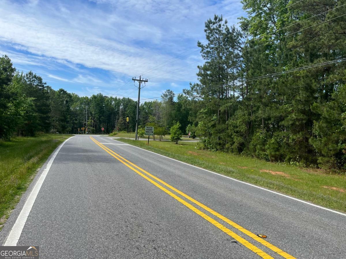 Property Photo: 3.5 +/- Acres New Phoenix Road GA 31024