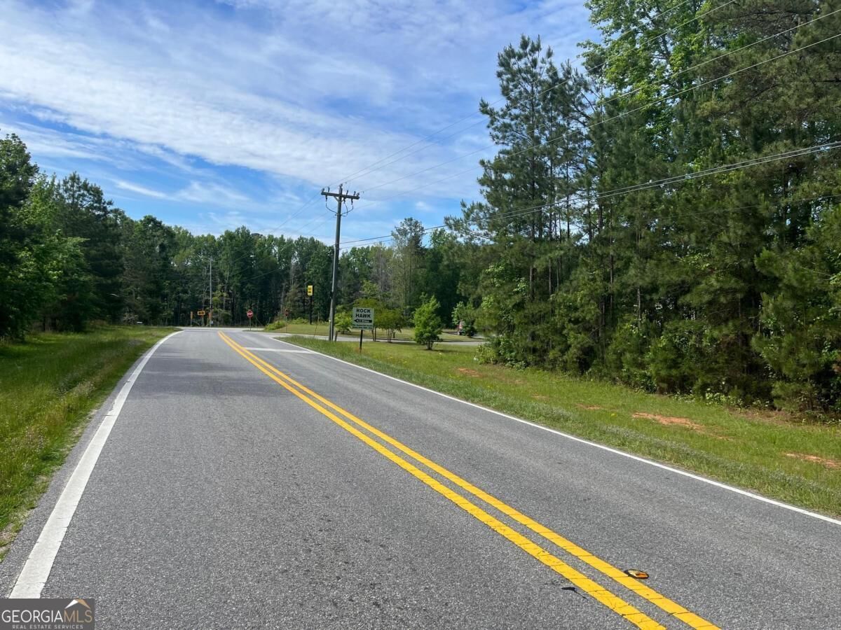 Property Photo:  3.5 +/- Acres New Phoenix Road  GA 31024 