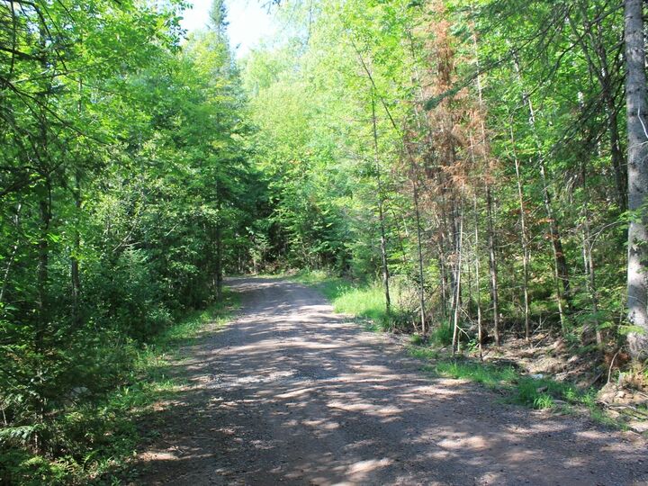 Property Photo: Lot 16 Alpine Dr WI 54565