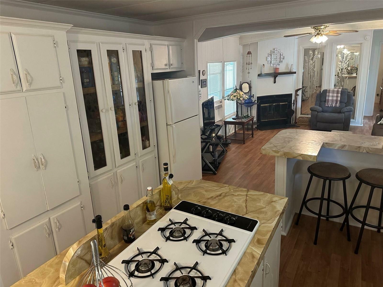 Property Photo: 3816 Cr 405C FL 33538