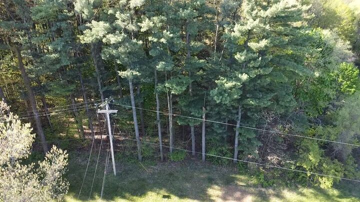 Parkwood Drive  Jonesville MI 49250 photo