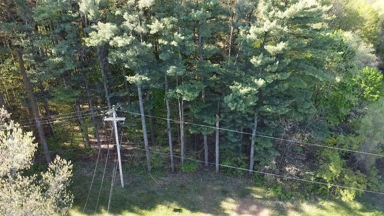 Property Photo: Parkwood Drive MI 49250