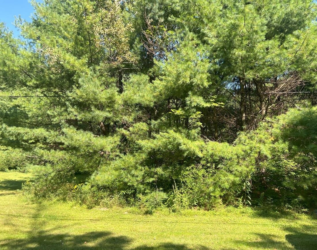 Property Photo: 4 Plaisted Road NH 03223