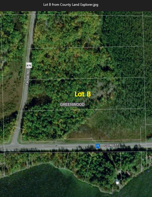 Property Photo: Tbd (Lot B) Fectos Road MN 55790