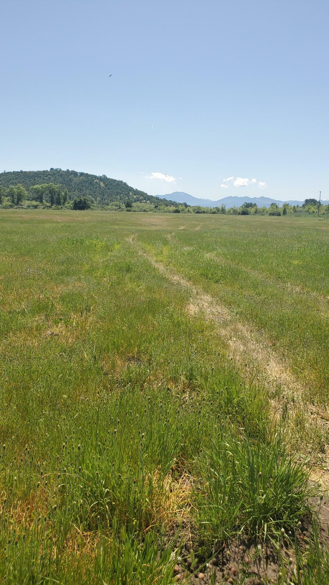 Property Photo: 1816 E Vilas Road OR 97502