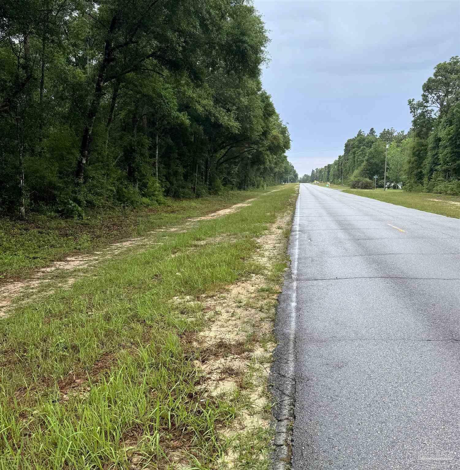 Property Photo: Lot 42 Log Lake Rd FL 32564