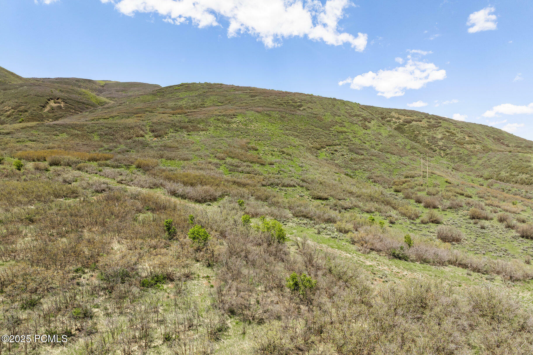 Property Photo: 978 S Upland Loop UT 84049