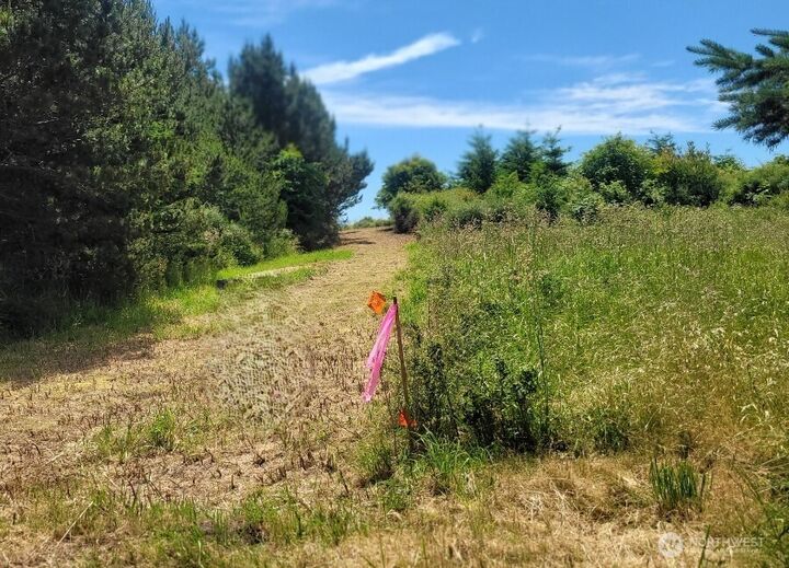 Property Photo: 97 Meadow Lane WA 98250
