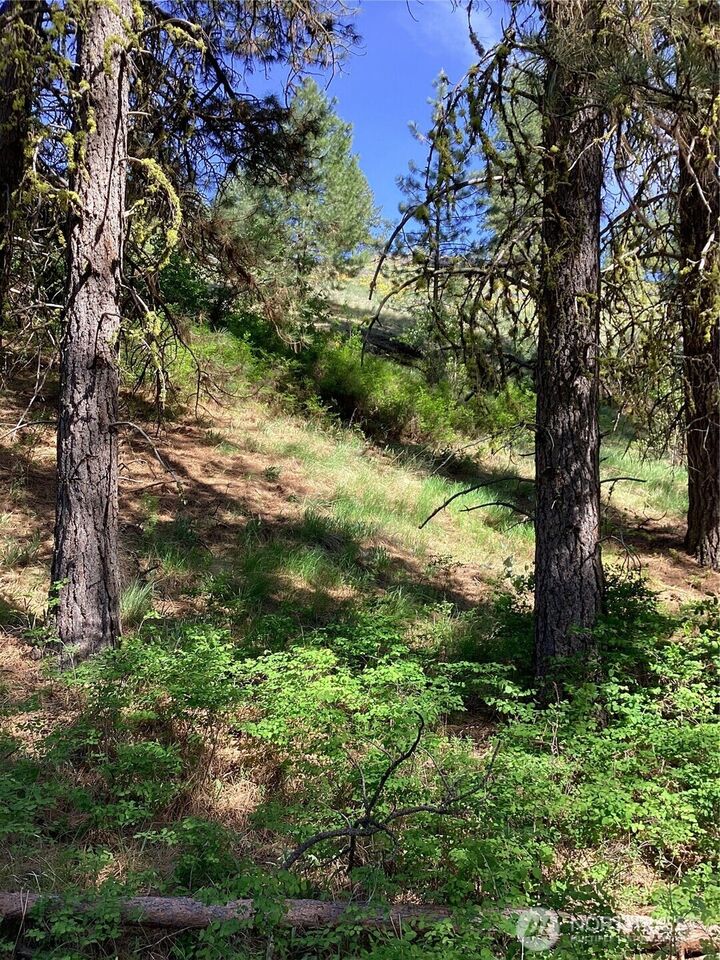 Property Photo:  19  Lot, Doe Lane  WA 98855 