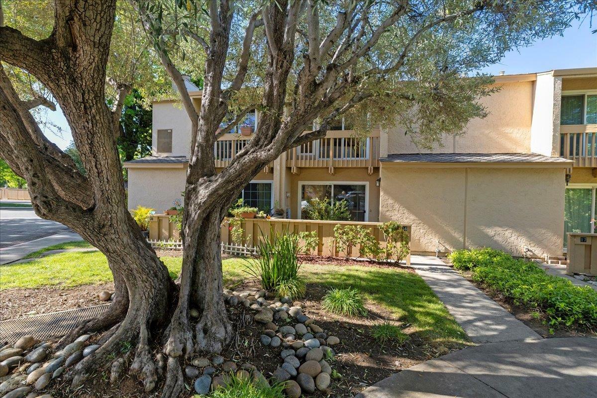 Property Photo: 125 Connemara Way 16 CA 94087