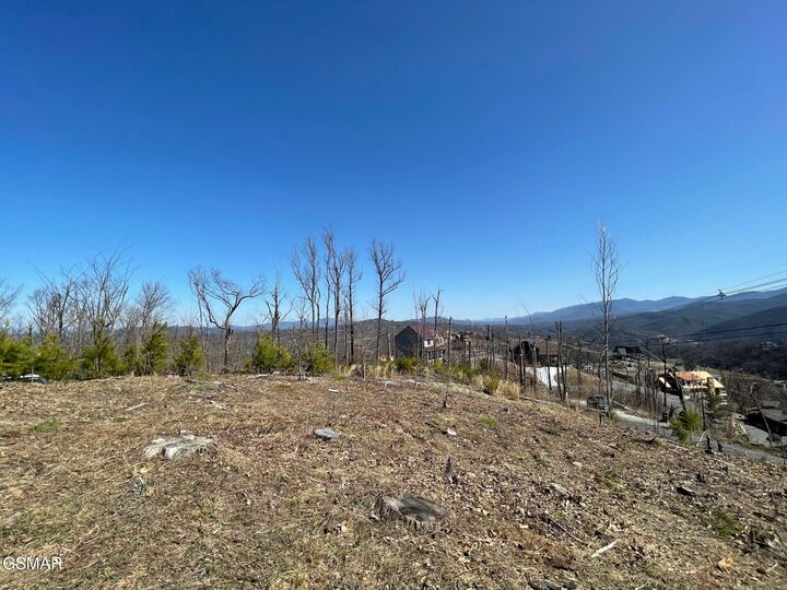 Property Photo: 730 Wiley Oakley Drive TN 37738