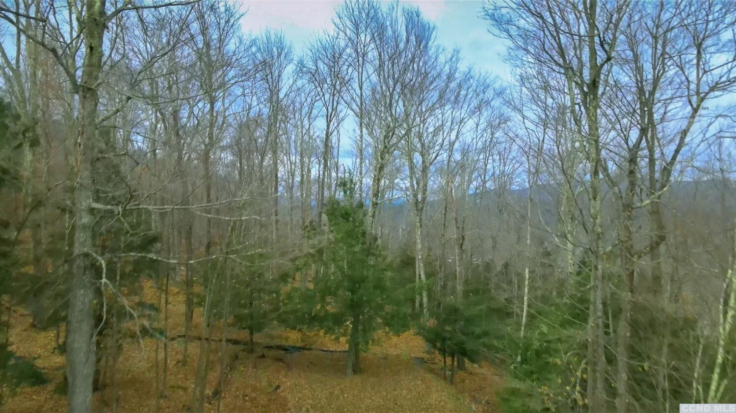Property Photo:  0 Club Road  NY 12496 