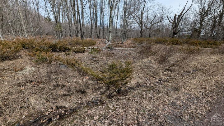 Property Photo:  75 Windy Lane  NY 12444 