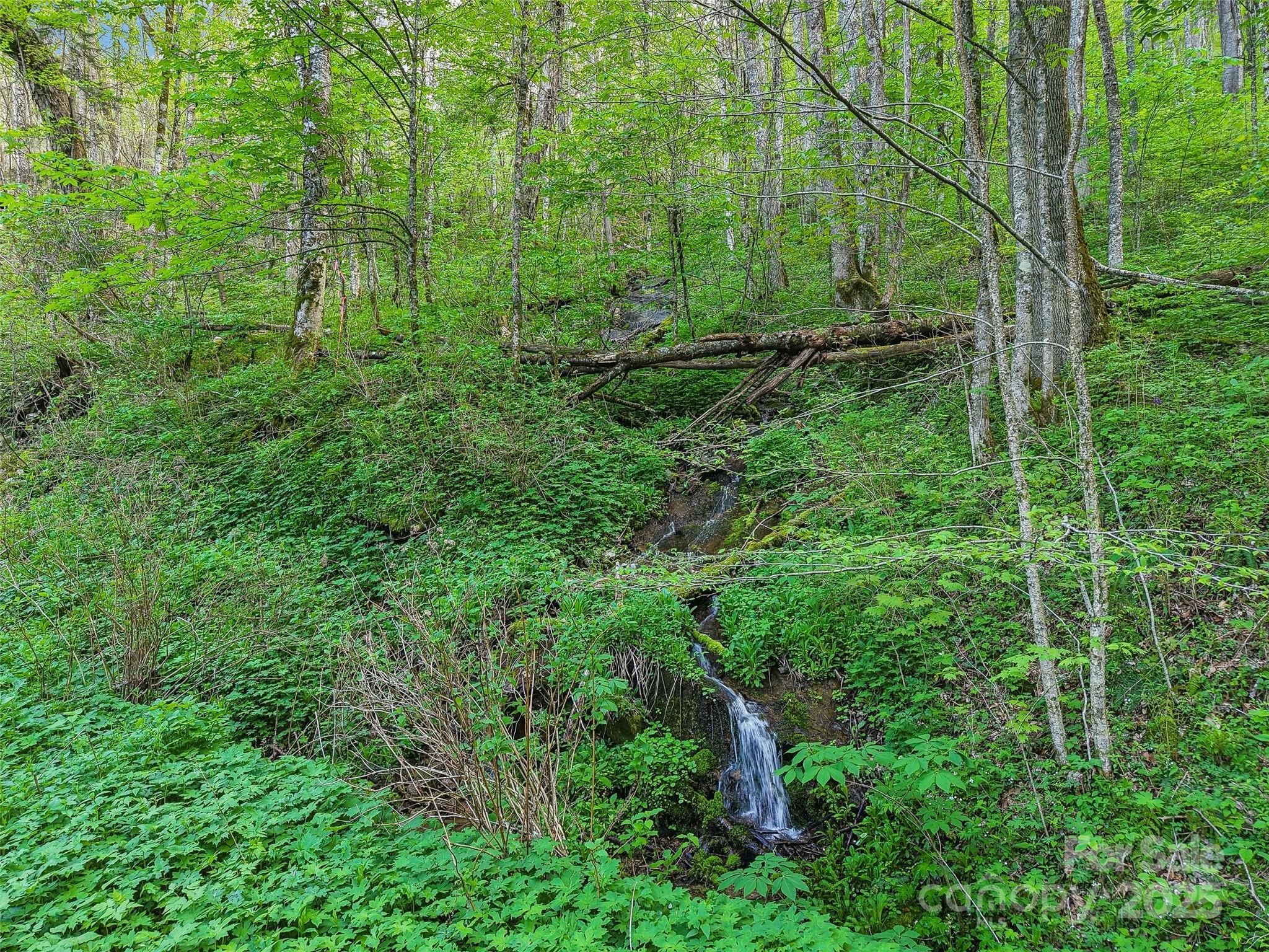 Property Photo: 0 Star Crest Drive NC 28785