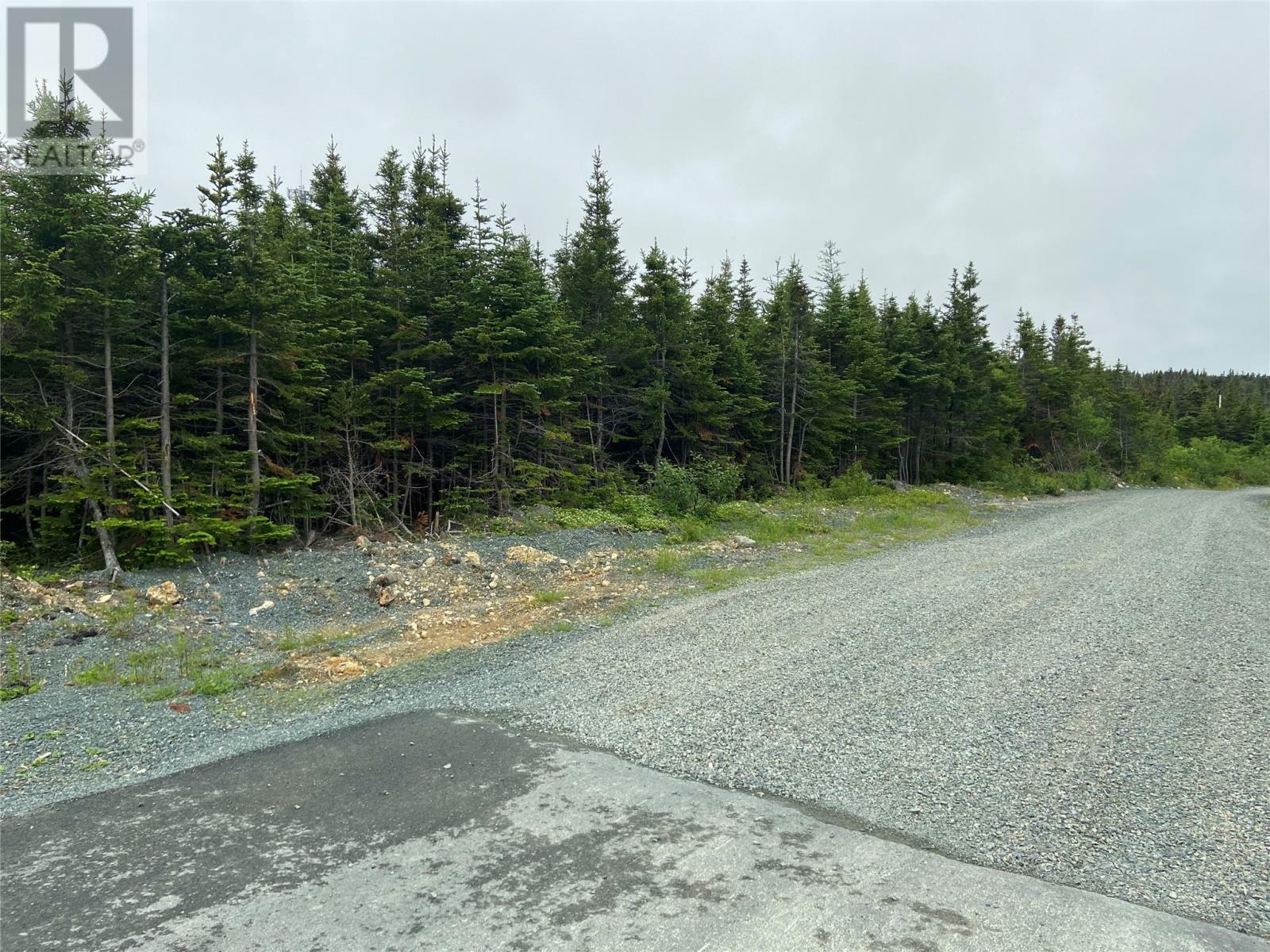 Property Photo:  55 Robin'S Pond Hill Road  NL A1K 1J7 