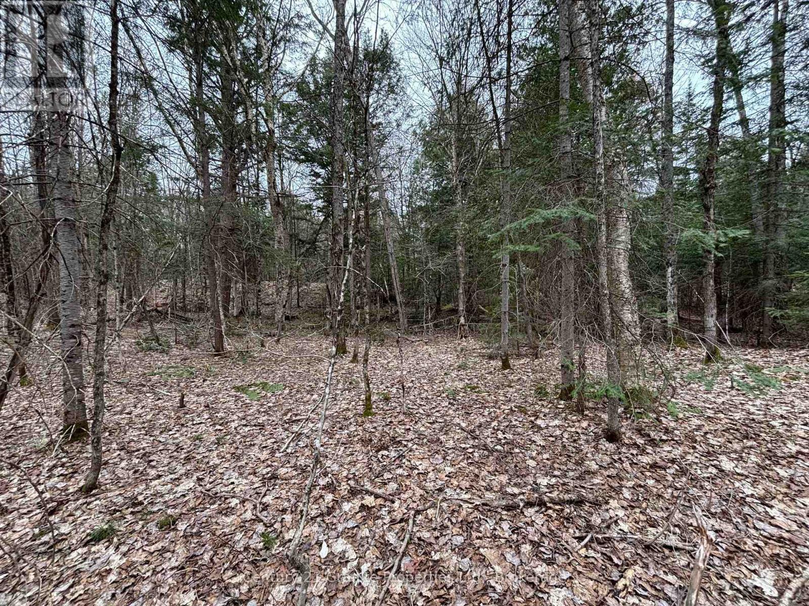 Property Photo:  Lot 1 Loch Erne Road  ON P2A 2W7 