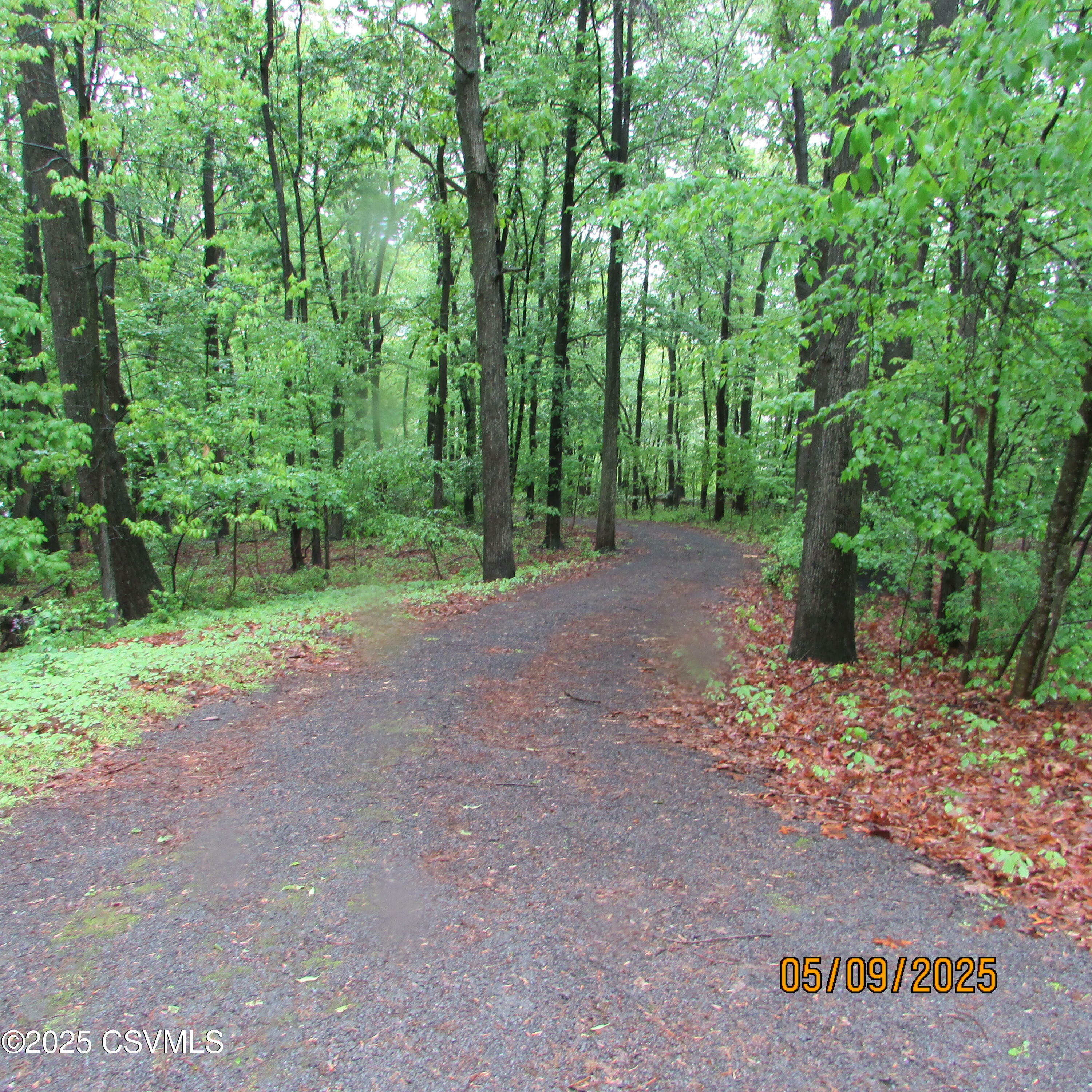483 Foye Road  Sunbury PA 17801 photo