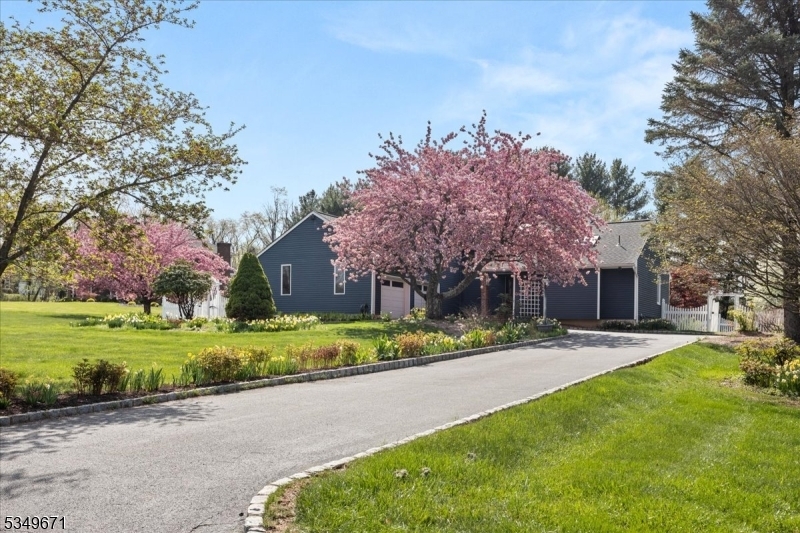 Property Photo: 15 Stacey Drive NJ 08801