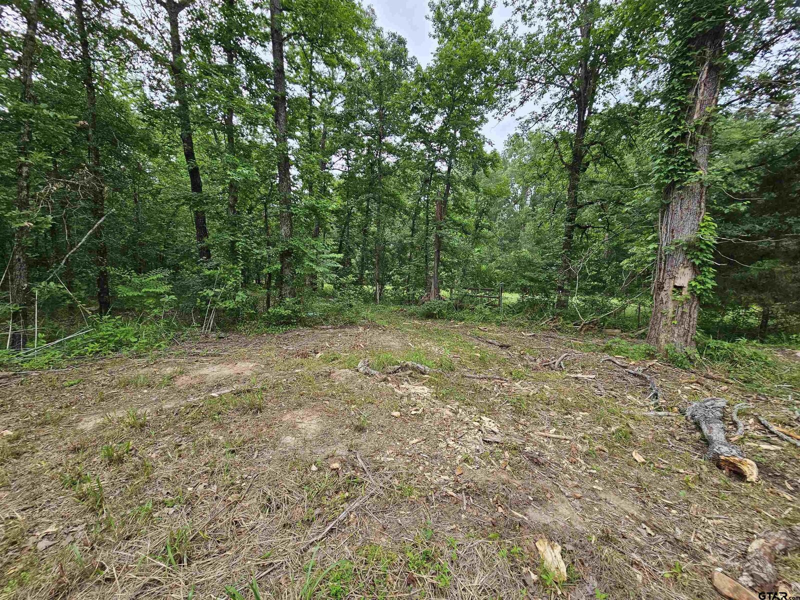 Property Photo:  881 Hallsville Heights  TX 75602 