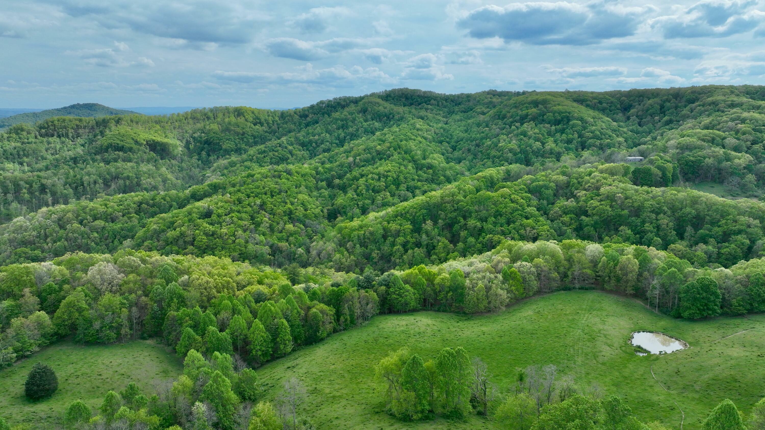 Tbd Chestnut Flats Road  Lewisburg WV 24901 photo