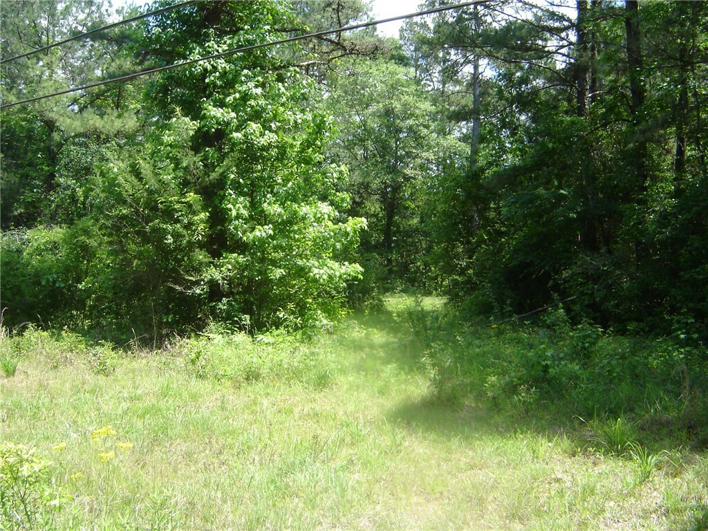 Property Photo: 0 County Road 213 AL 36863