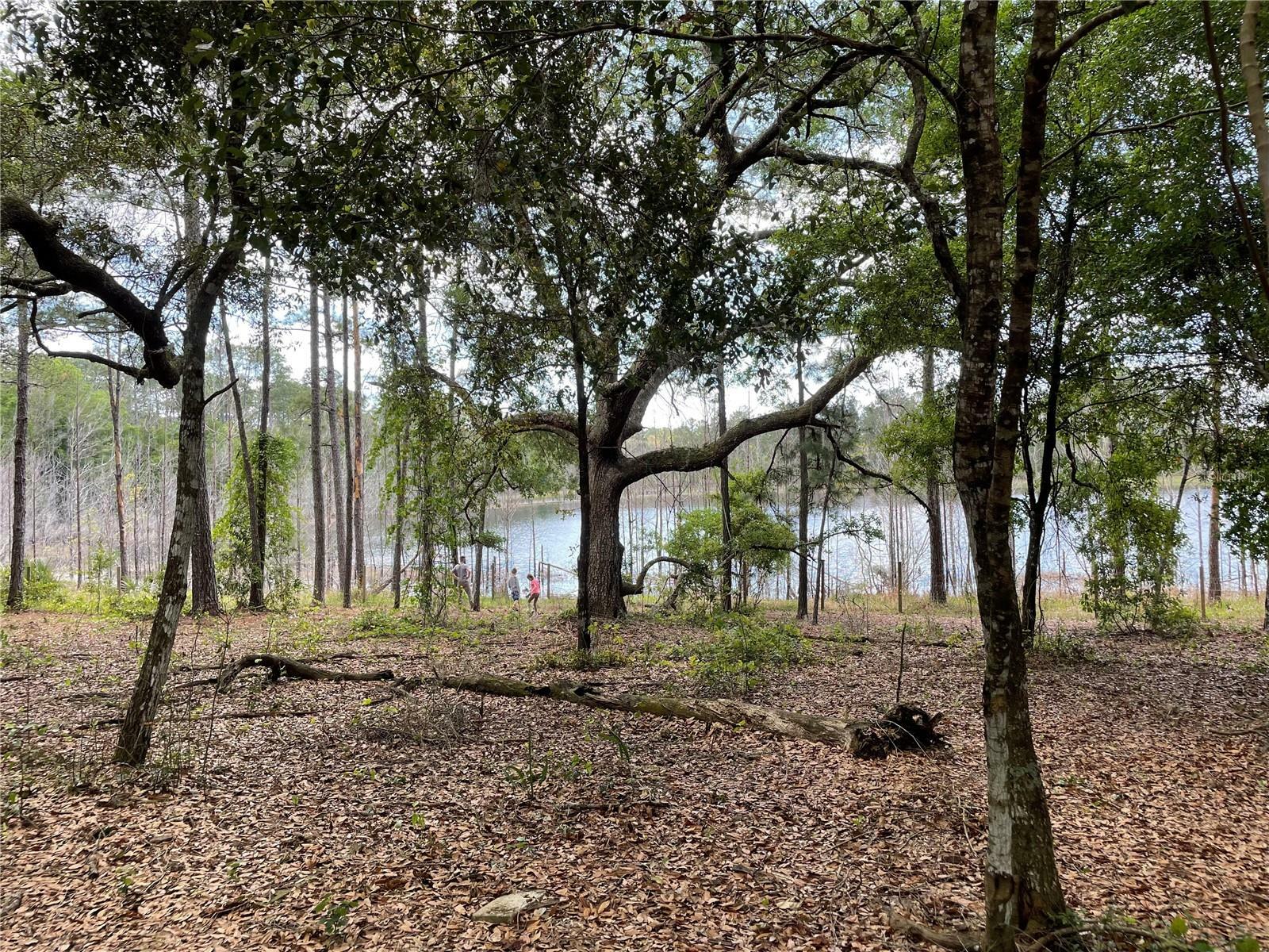 Property Photo: SE 49th Street Road FL 32183