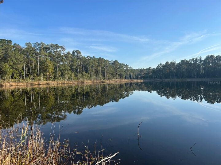 Property Photo: SE 49th Street Road FL 32183