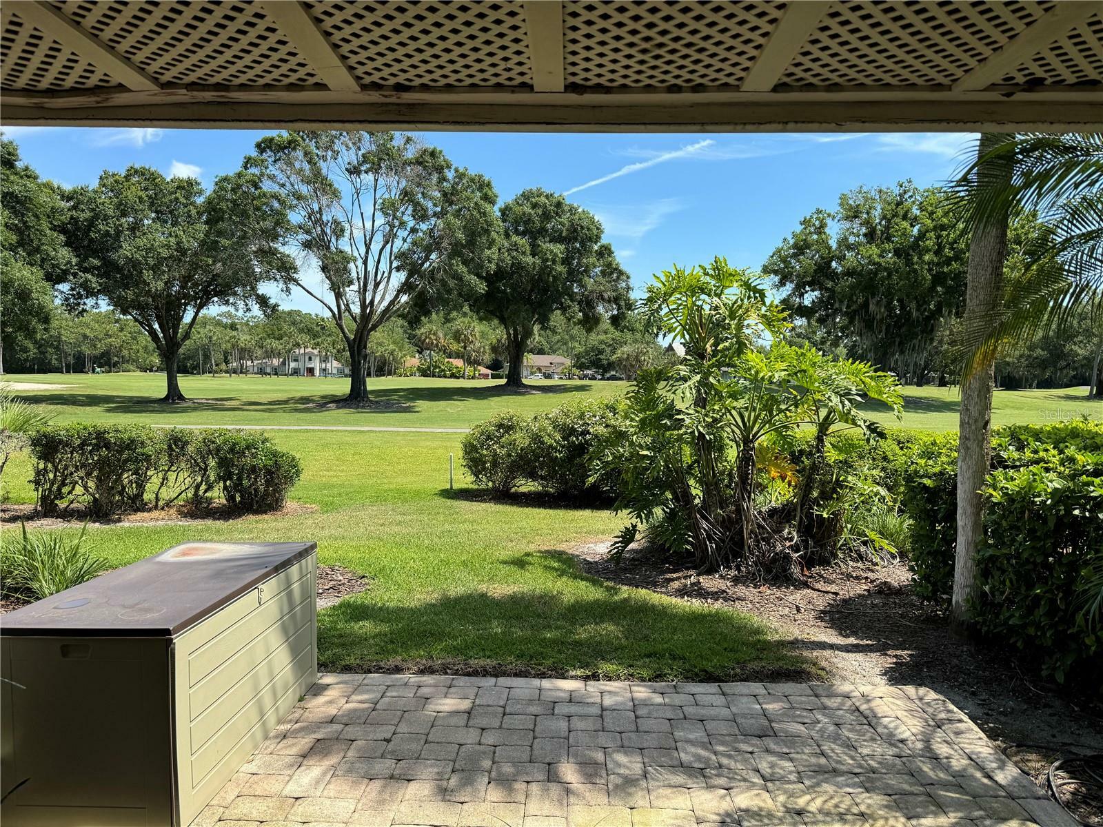Property Photo: 29129 Bay Hollow Drive 3201 FL 33543