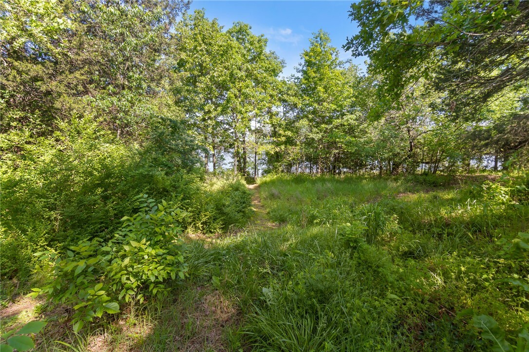 Property Photo: 12508 Fords Rock Landing AR 72745