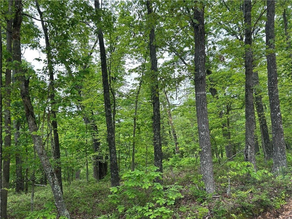 Property Photo: Arabian Lane AR 72756