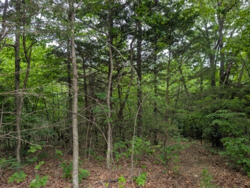 Property Photo:  Sutton Place  AR 72601 