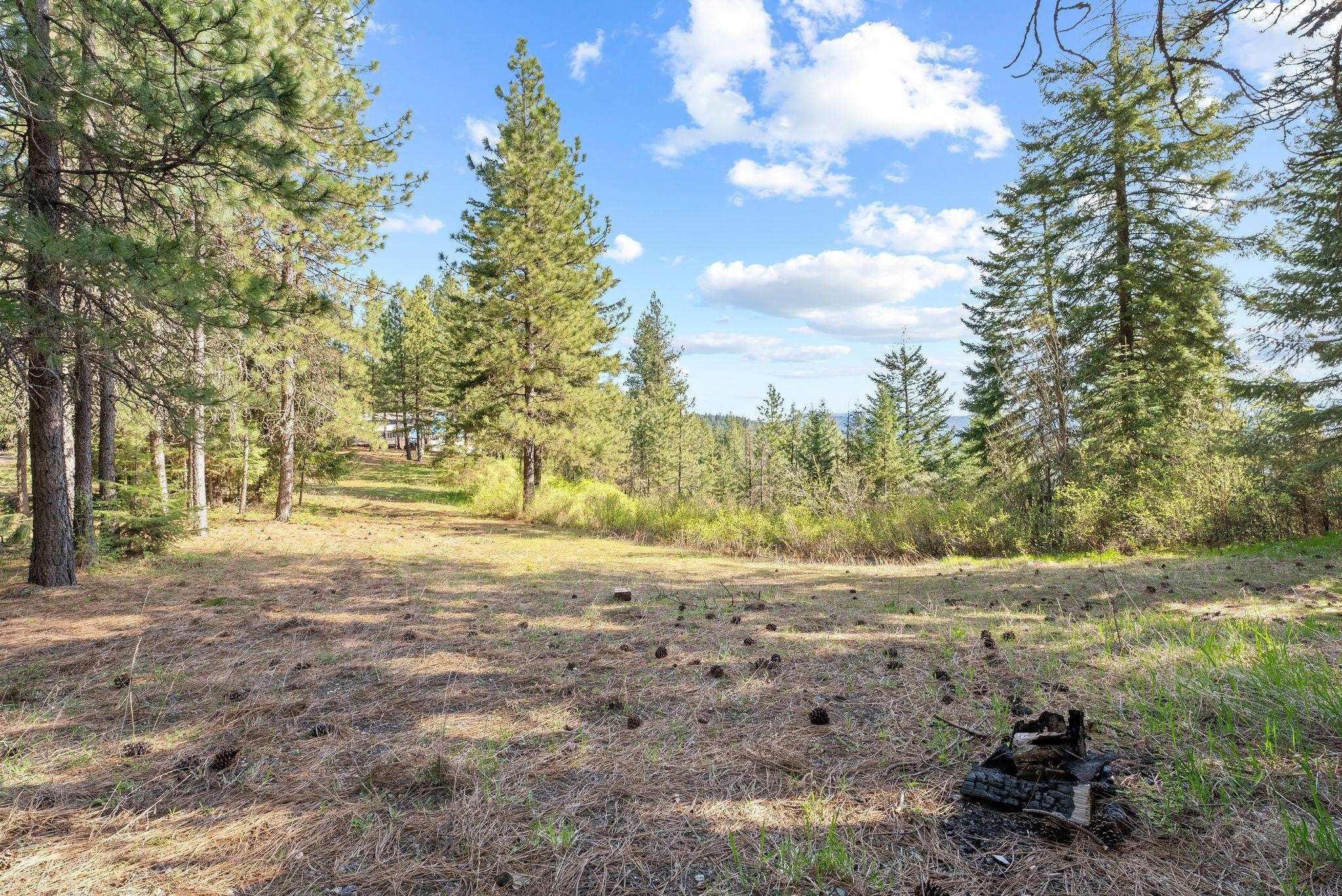 12703 S Alpine Fern Ln  Rockford WA 99030 photo