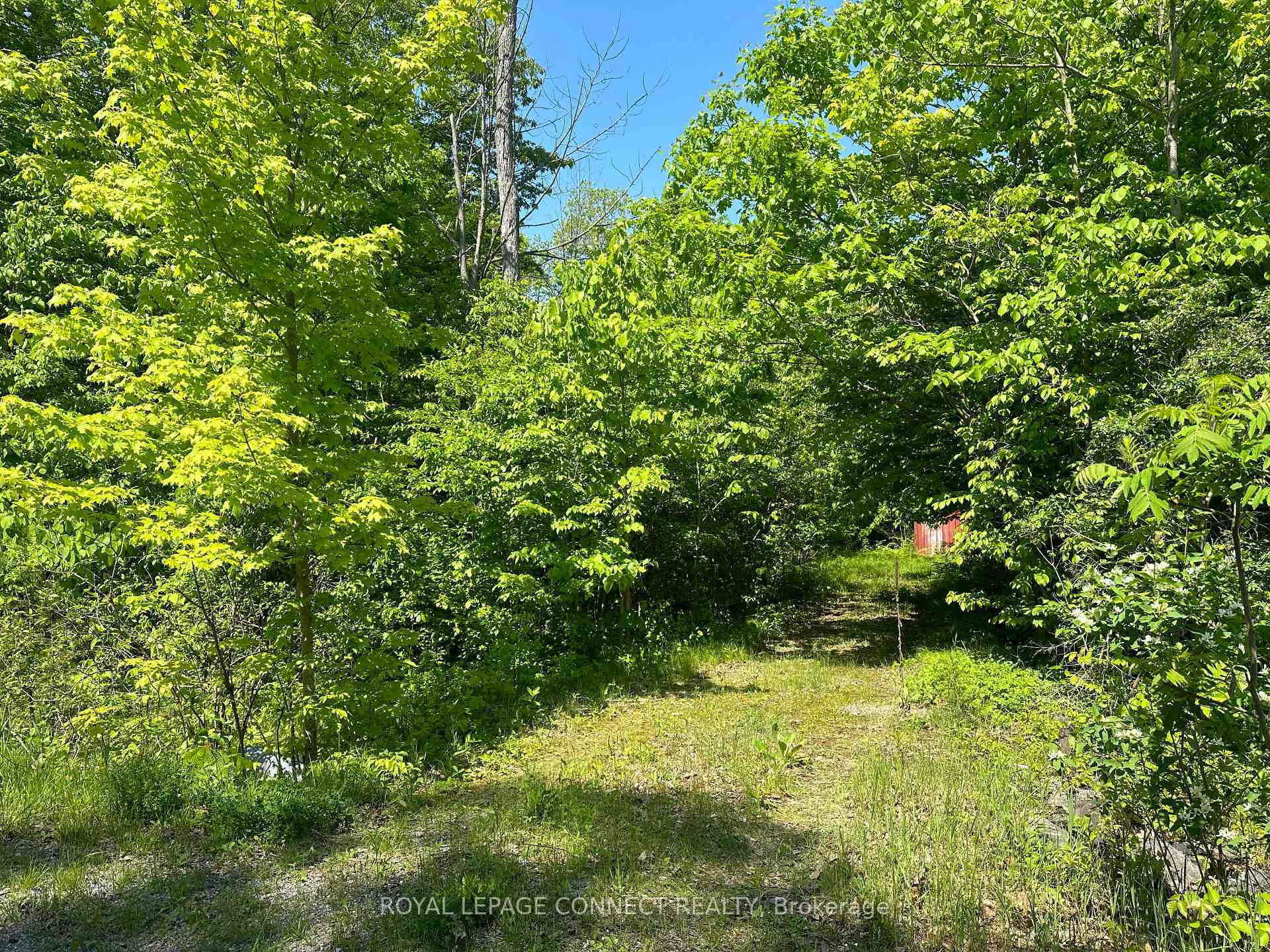 Property Photo:  21 Riverside Drive  ON K0L 1L0 