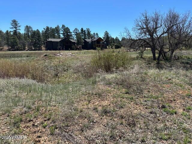 Property Photo:  1301 S Lakeside Trail  AZ 85901 