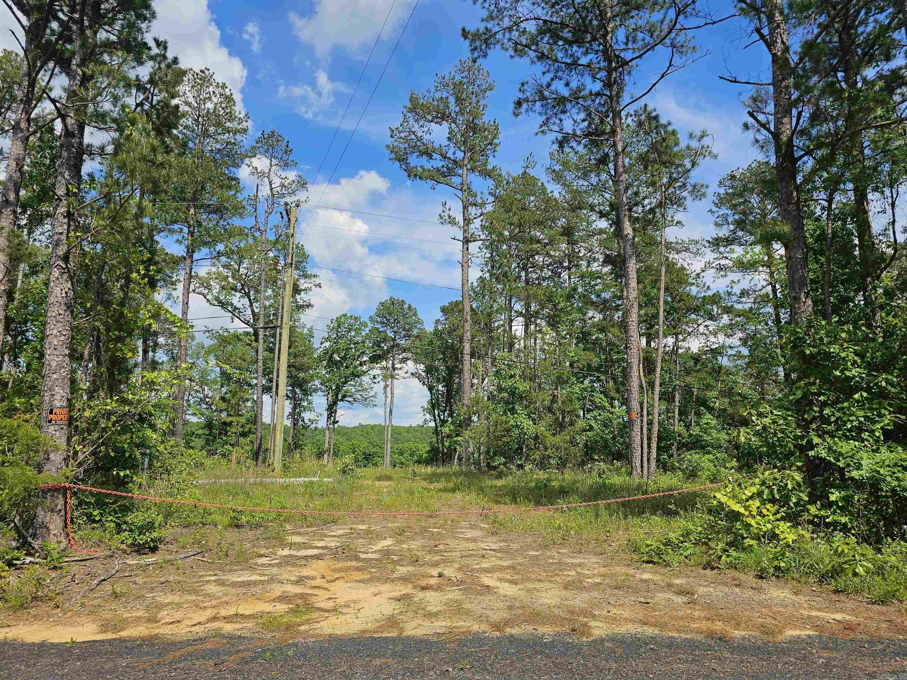 Property Photo: 0 Newton Rd AR 72031