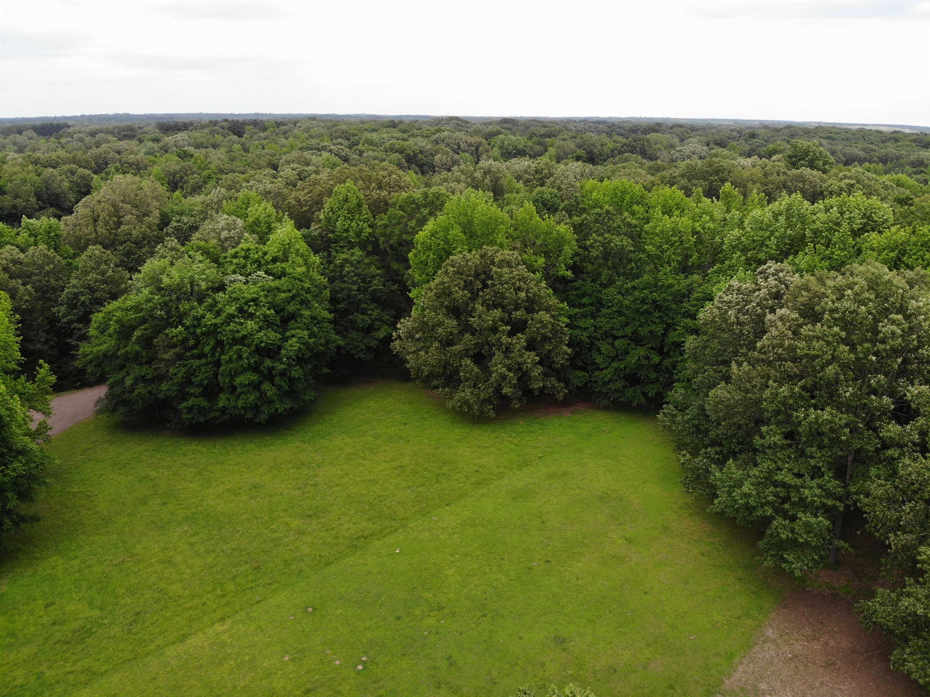 Property Photo: 330 Falling Creek Cv TN 38028