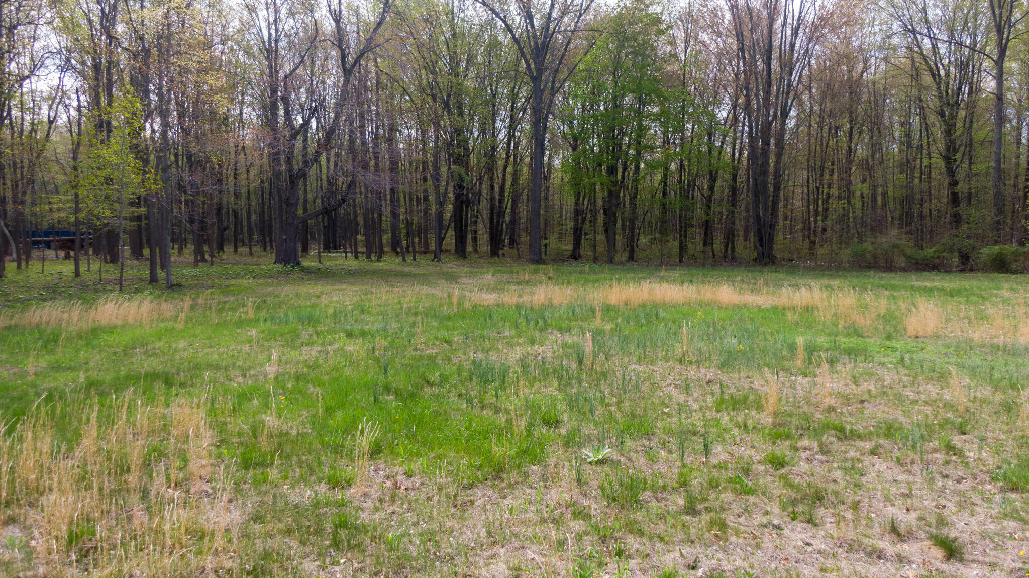 Property Photo: 13254 Wilson Road MI 49117