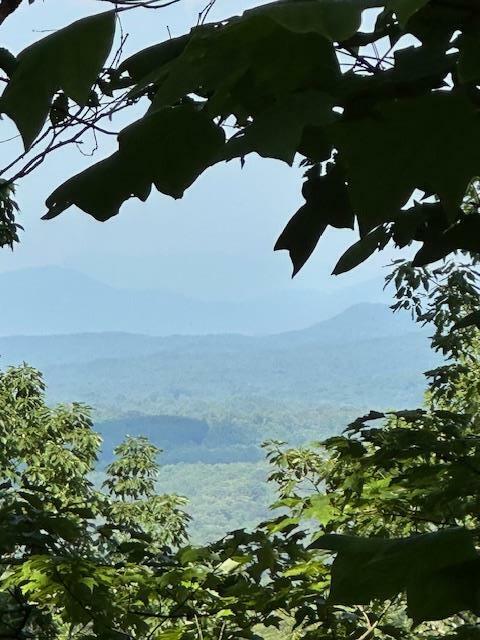 Property Photo: 16 Ac Campbell Cove Creek TN 37391