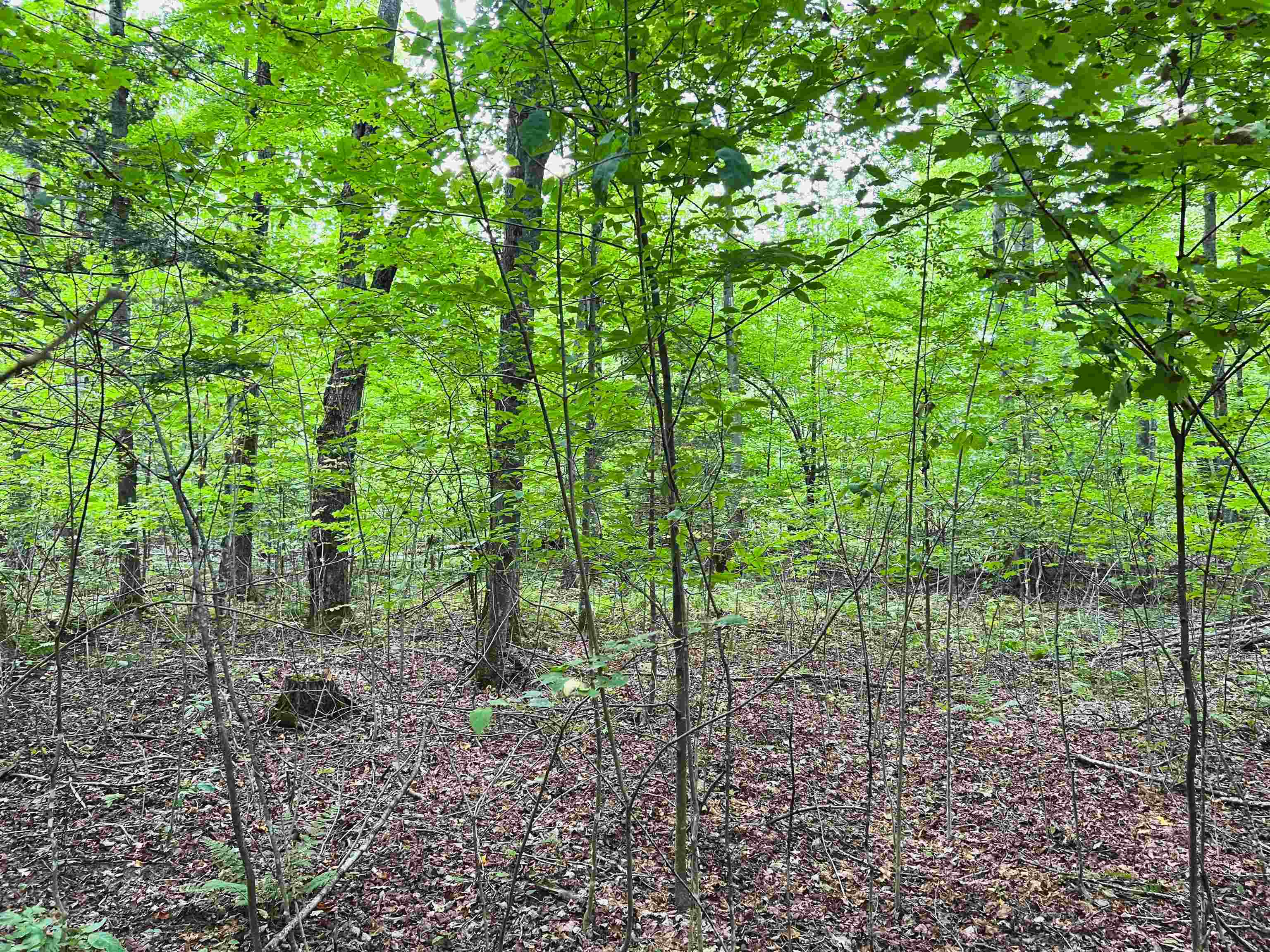 Property Photo: McCaslin Drive WI 54175