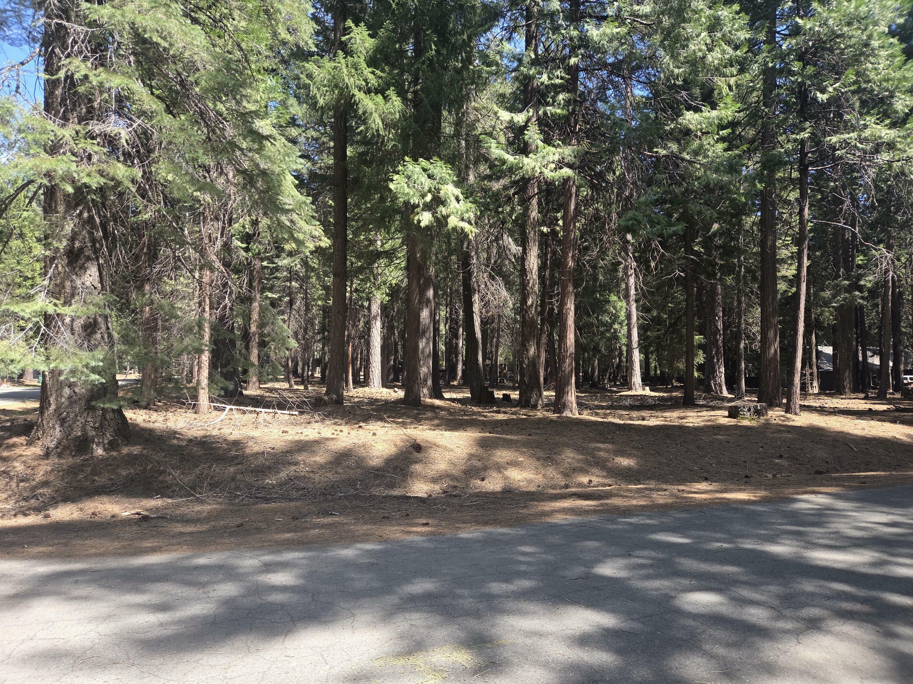 Property Photo:  Lot # 6 Colossians Way  CA 96088 
