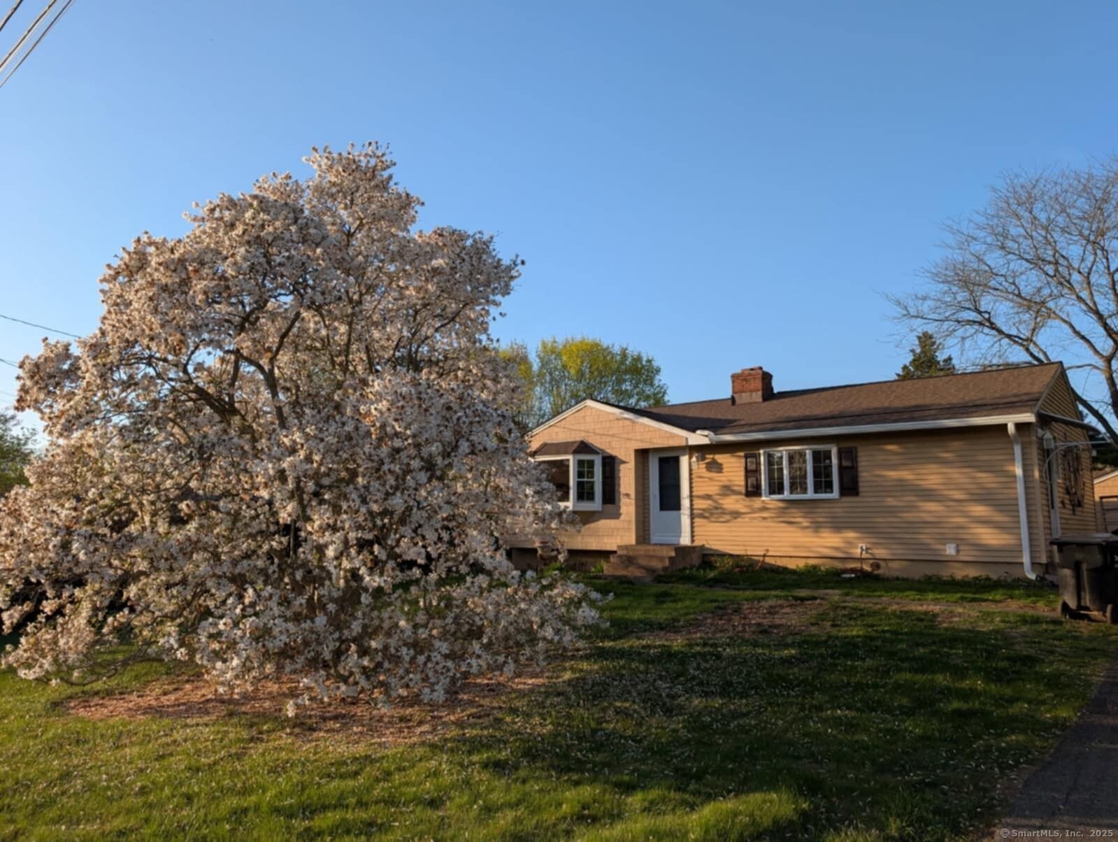 Property Photo:  27 Payne Place  CT 06450 